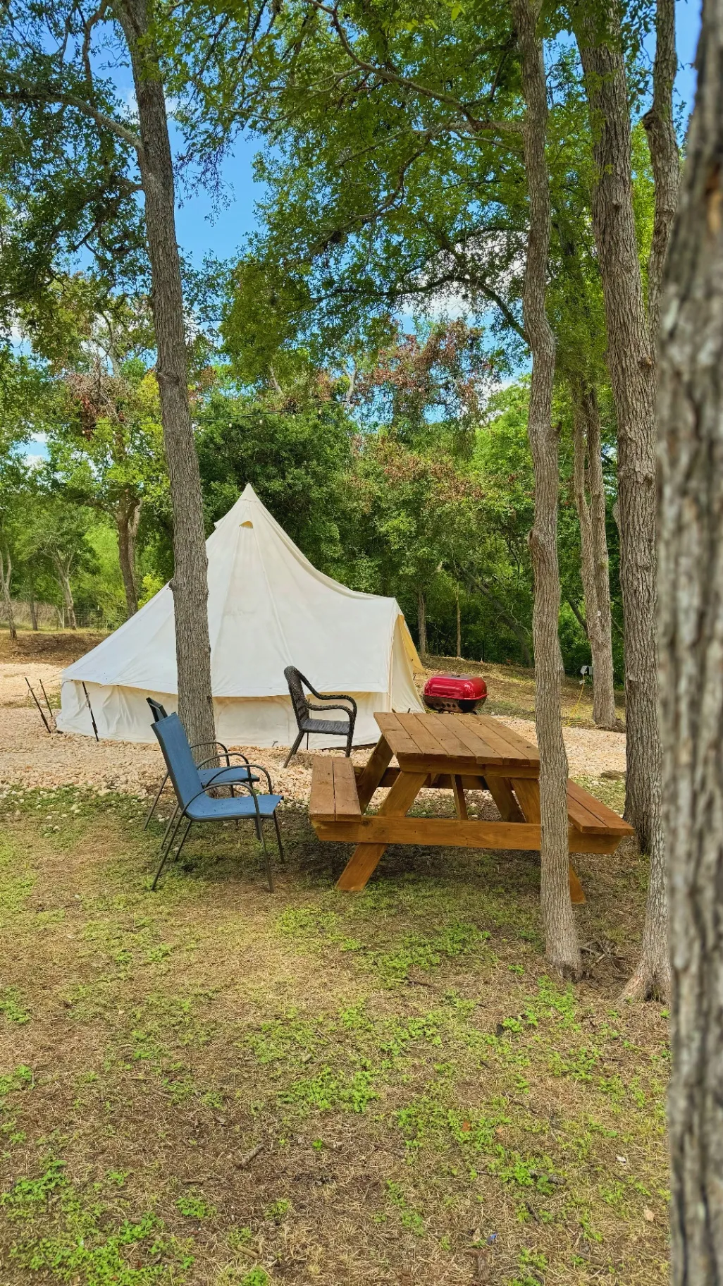 Bell Tent with picnic area