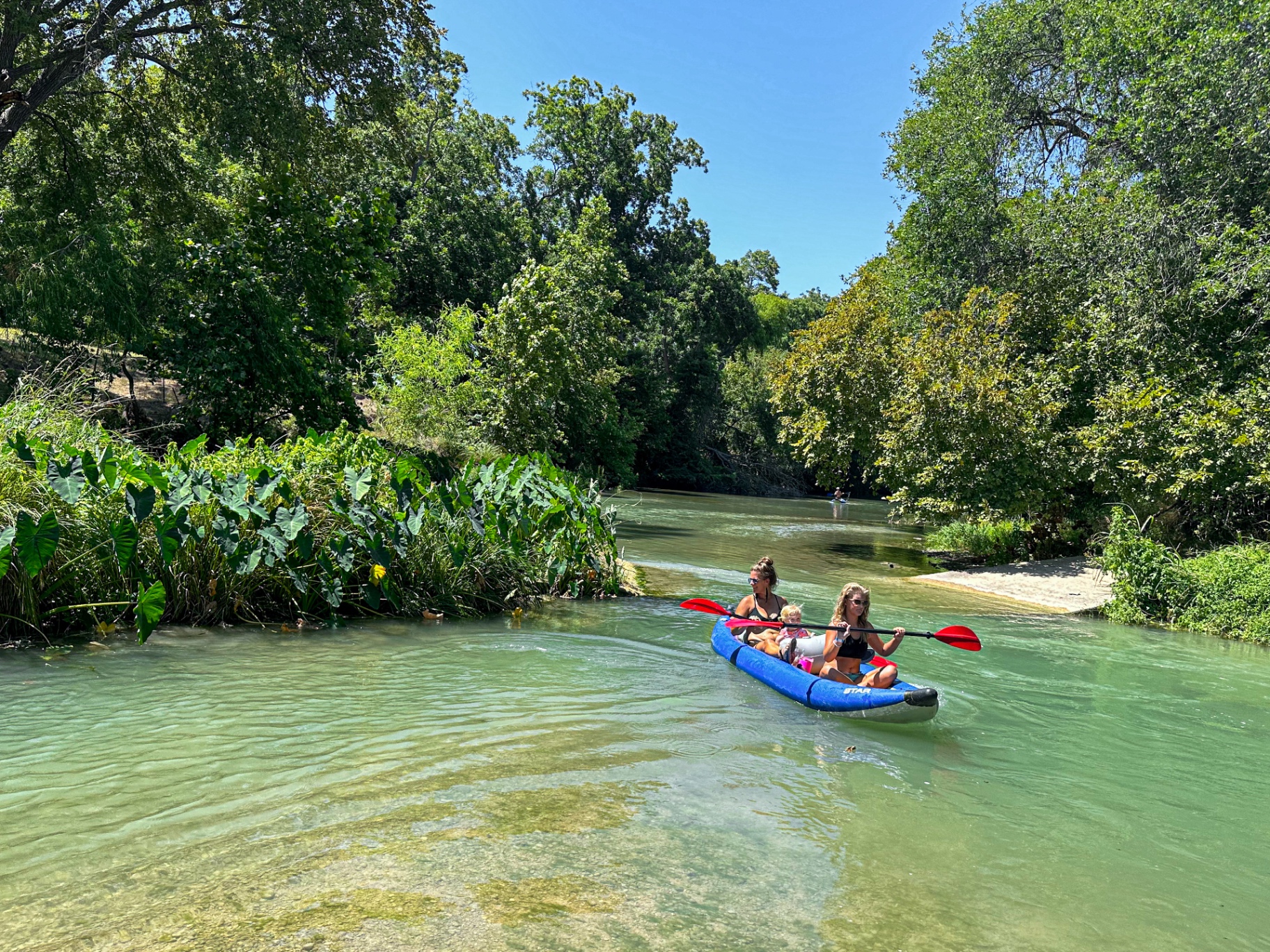 Families floating on the crystal-clear San Marcos River