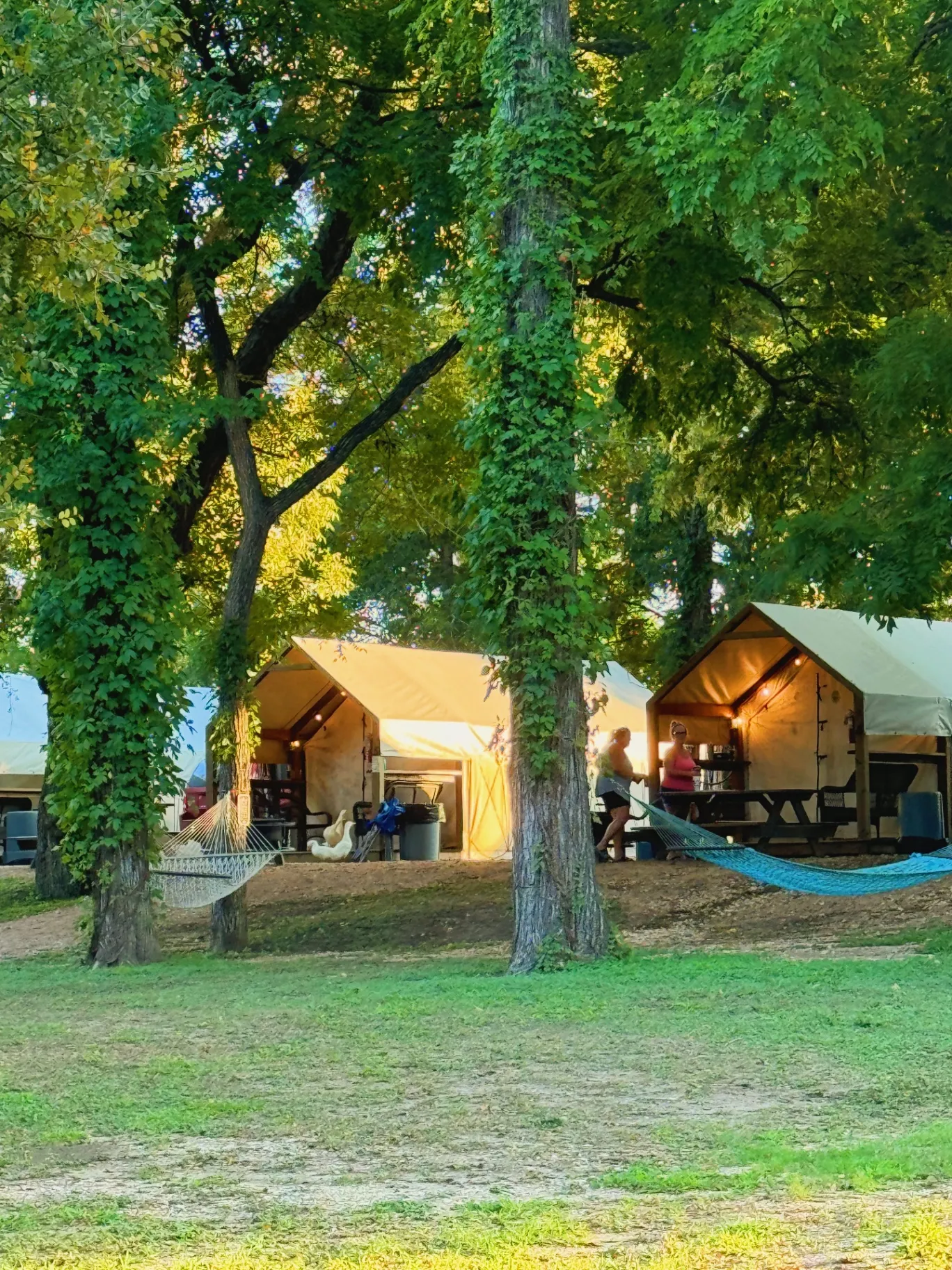 Luxury Glamping Cabins