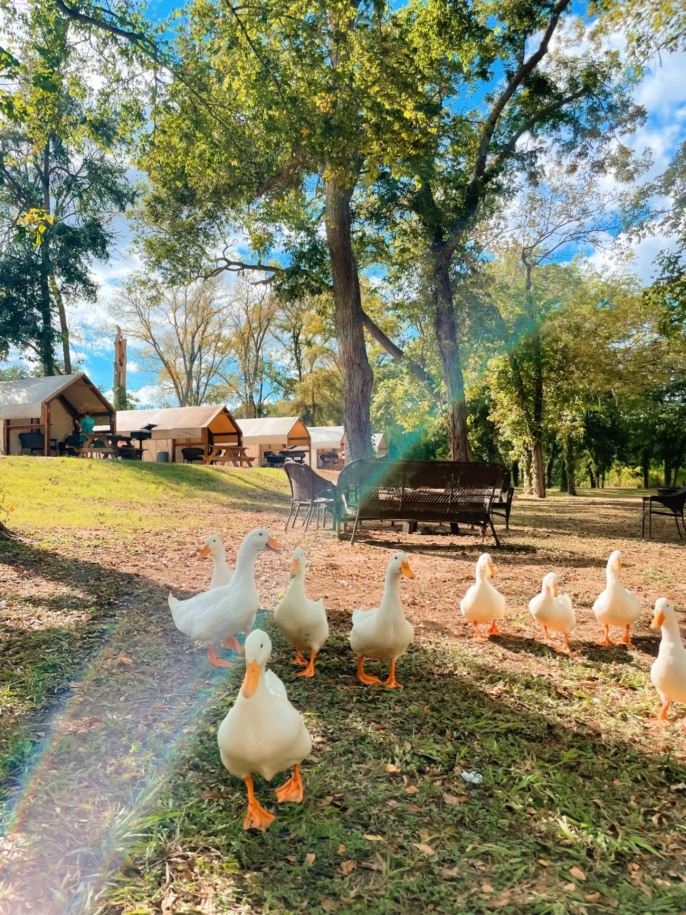 Easter family glamping moment 2 at Son's Blue River Camp